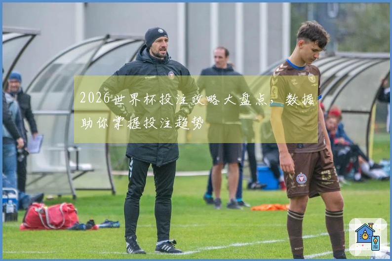 2026世界杯投注攻略大盘点，数据助你掌握投注趋势