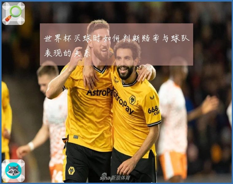 世界杯买球时如何判断赔率与球队表现的关系