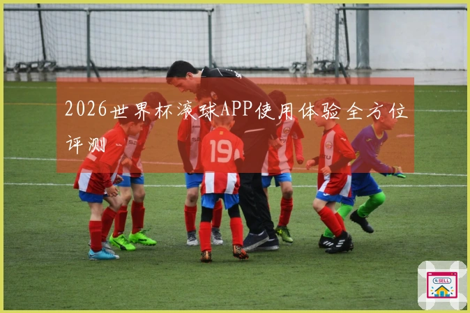 2026世界杯滚球APP使用体验全方位评测