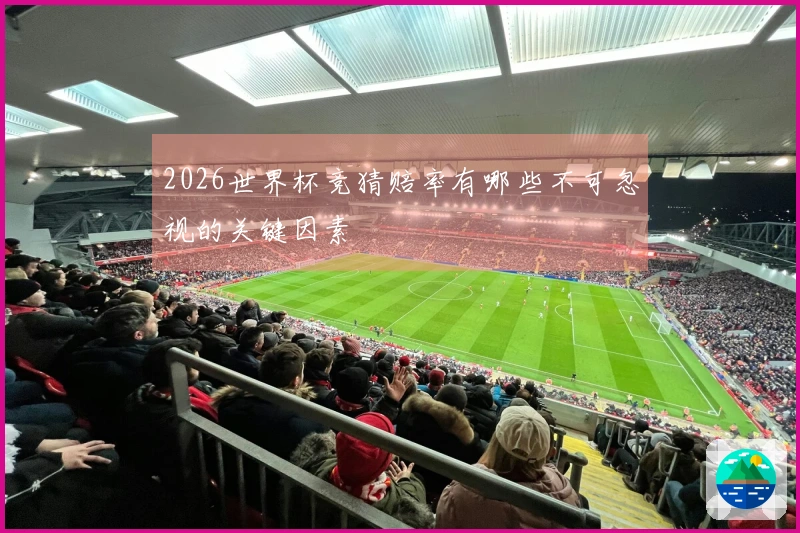 2026世界杯竞猜赔率有哪些不可忽视的关键因素