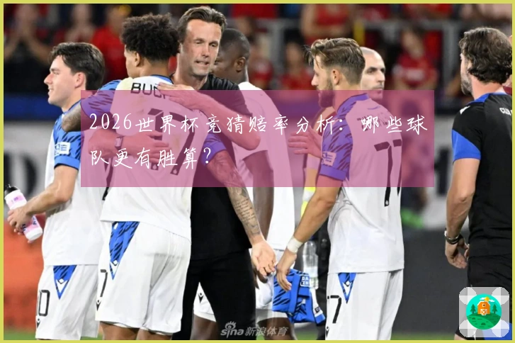 2026世界杯竞猜赔率分析：哪些球队更有胜算？