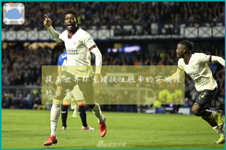 提高世界杯竞猜投注胜率的实战技巧分享