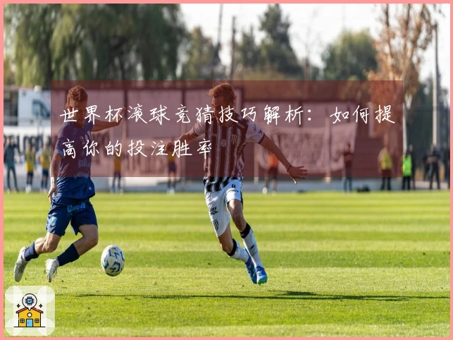世界杯滚球竞猜技巧解析：如何提高你的投注胜率