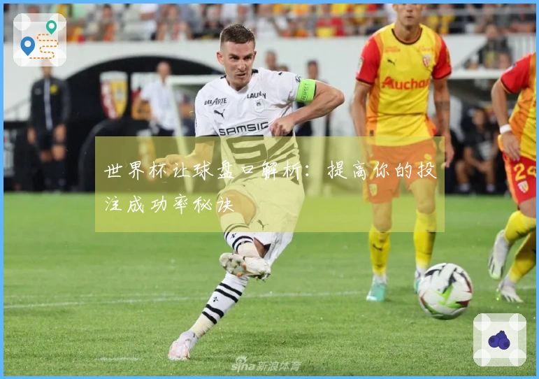 世界杯让球盘口解析：提高你的投注成功率秘诀