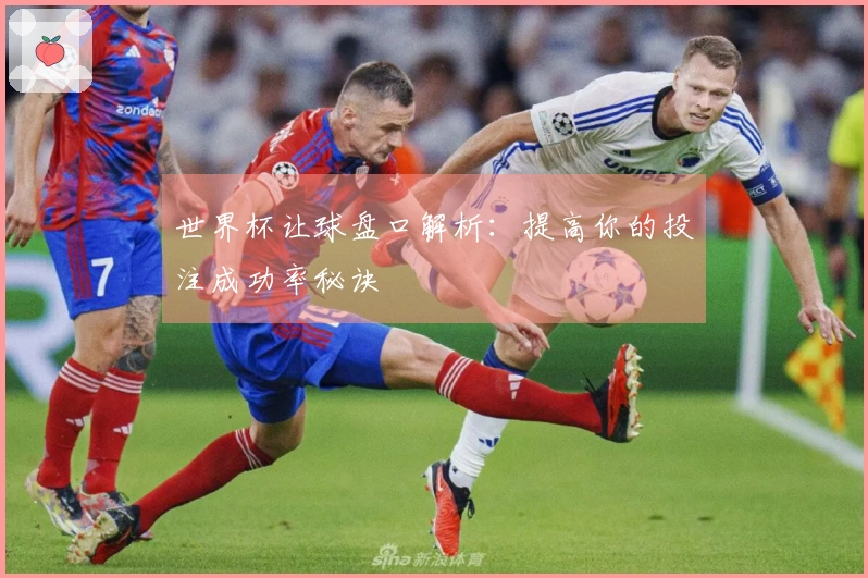 世界杯让球盘口解析：提高你的投注成功率秘诀
