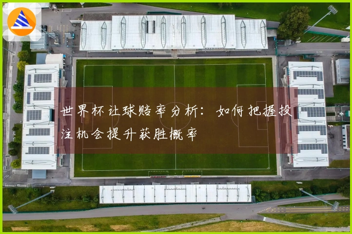 世界杯让球赔率分析：如何把握投注机会提升获胜概率