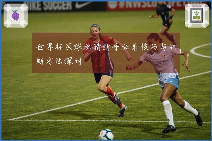 世界杯买球竞猜新手必看技巧与判断方法探讨