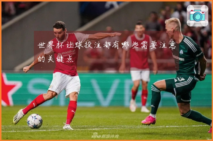 世界杯让球投注都有哪些需要注意的关键点