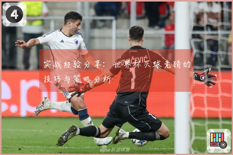 实战经验分享：世界杯买球竞猜的技巧与策略分析