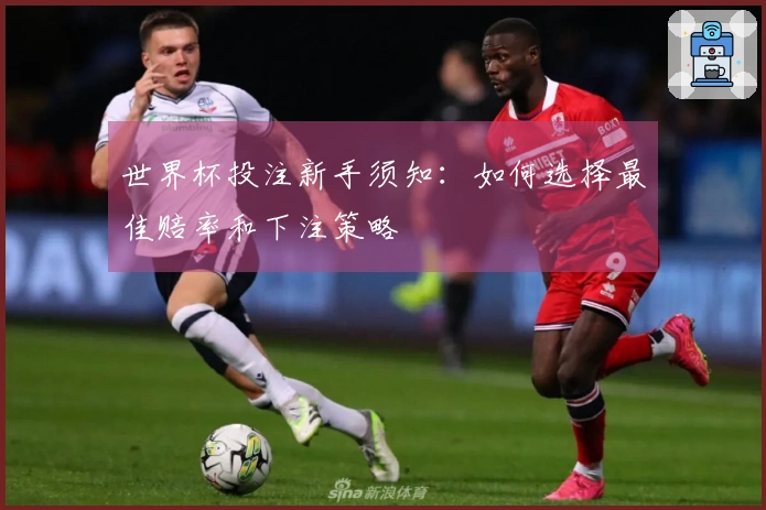 世界杯投注新手须知：如何选择最佳赔率和下注策略