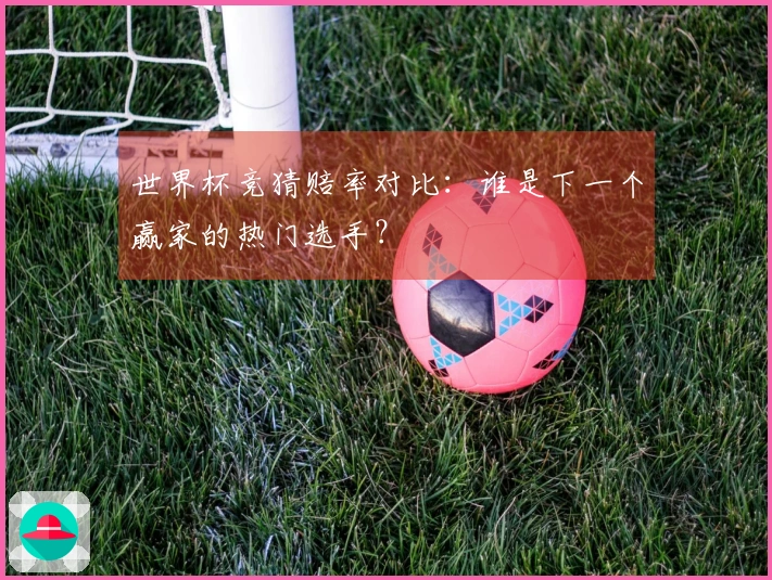 世界杯竞猜赔率对比：谁是下一个赢家的热门选手？