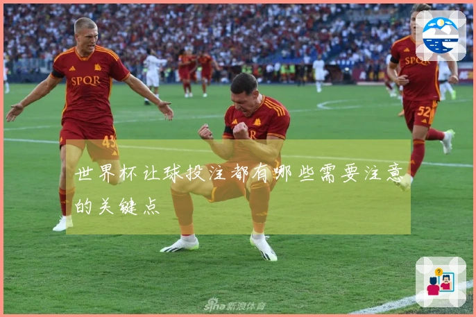 世界杯让球投注都有哪些需要注意的关键点