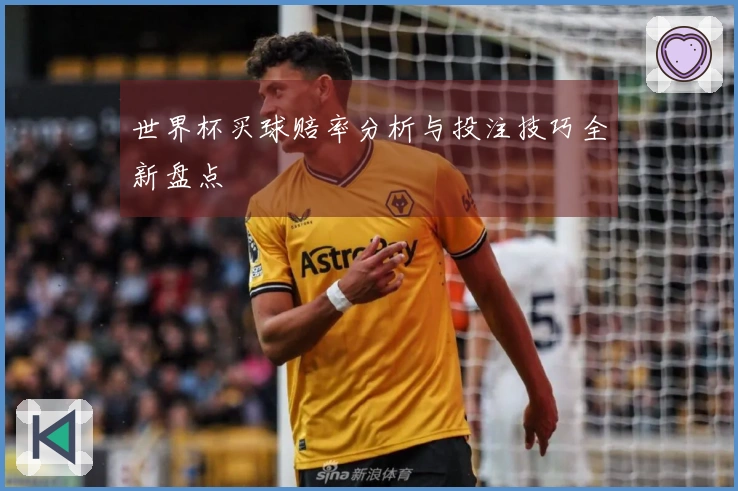世界杯买球赔率分析与投注技巧全新盘点