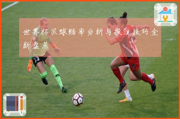 世界杯买球赔率分析与投注技巧全新盘点