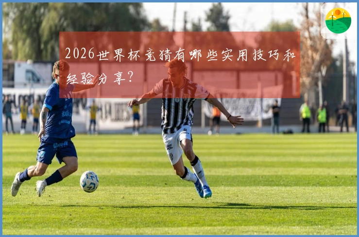 2026世界杯竞猜有哪些实用技巧和经验分享？