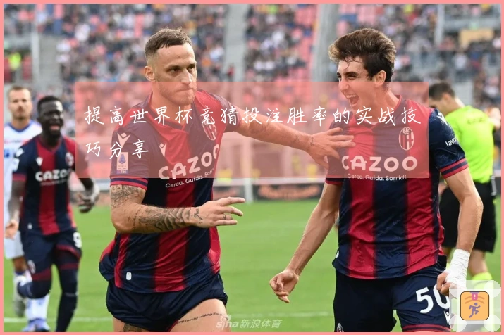 提高世界杯竞猜投注胜率的实战技巧分享