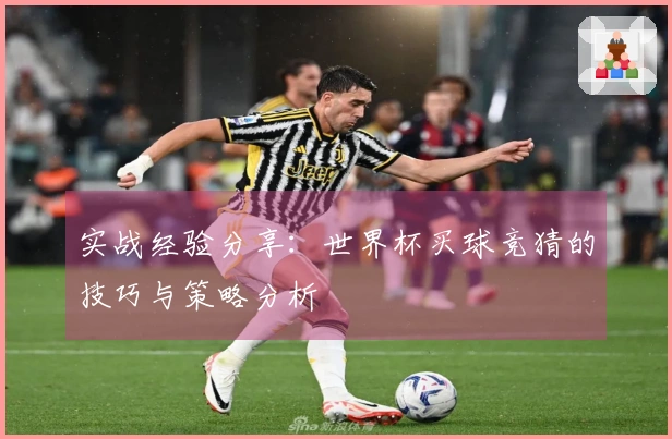 实战经验分享：世界杯买球竞猜的技巧与策略分析