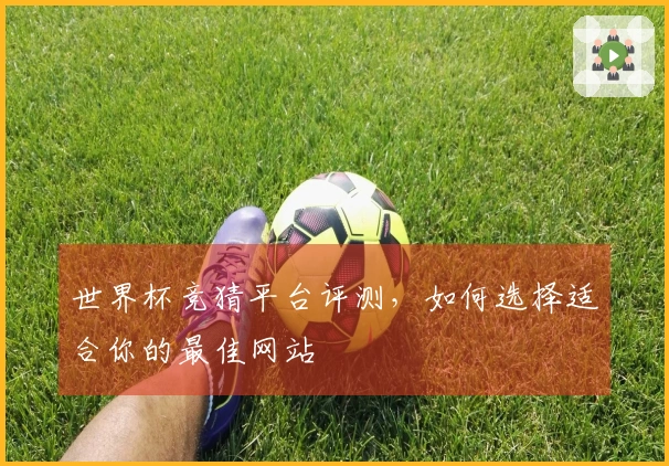 世界杯竞猜平台评测，如何选择适合你的最佳网站