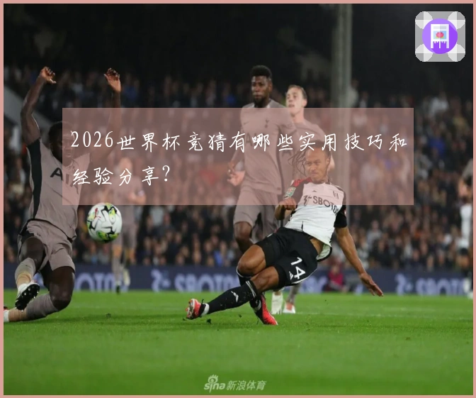 2026世界杯竞猜有哪些实用技巧和经验分享？
